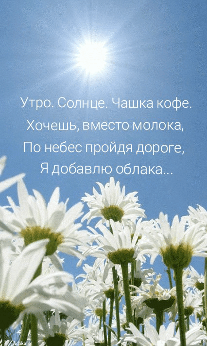 Утро. Солнце. Чашка кофе