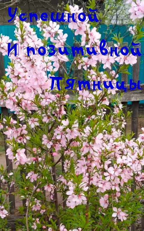 Успешной и позитивной Пятницы