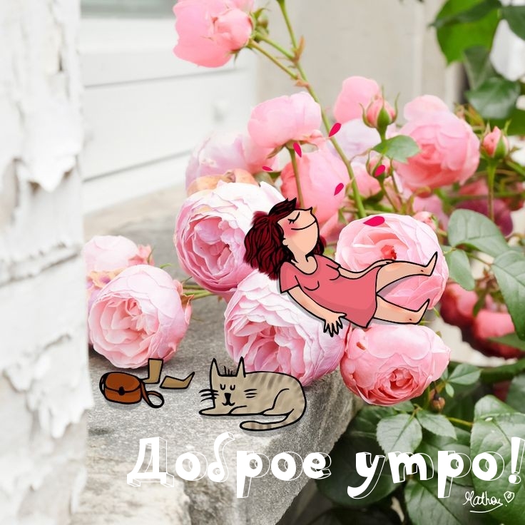 Доброе утро!