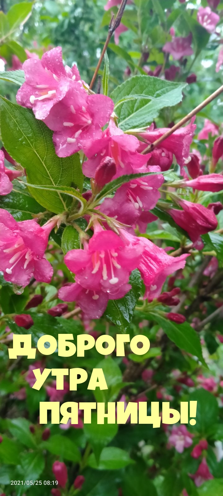 Доброго Утра Пятницы!