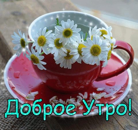 Доброе Утро!