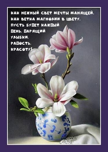 Пусть будет каждый день, дарящий улыбки, радость, красоту!