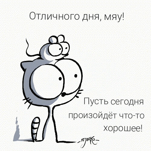 Отличного дня, мяу!