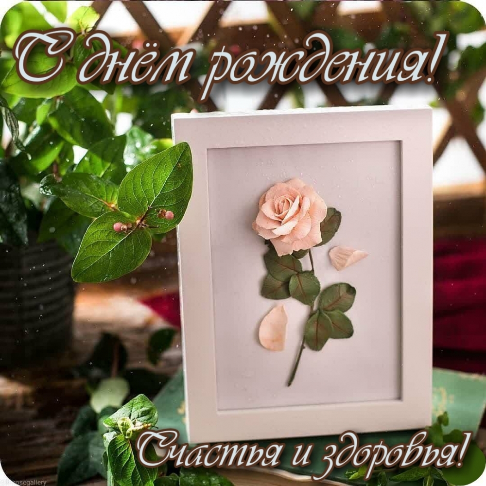 С днём рождения! Счастья и здоровья!