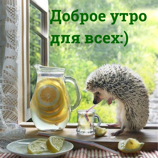 Доброе утро для всех:)