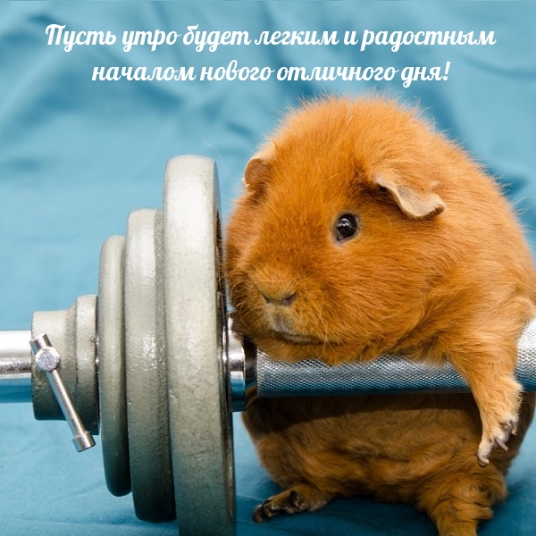 Пусть утро будет легким и радостным началом нового отличного дня!