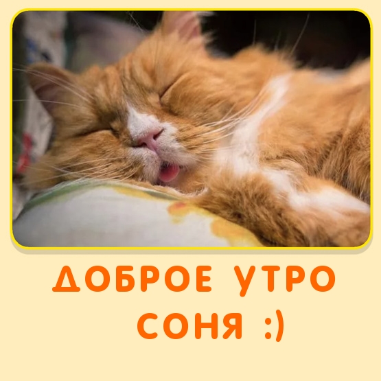 Доброе утро соня :)