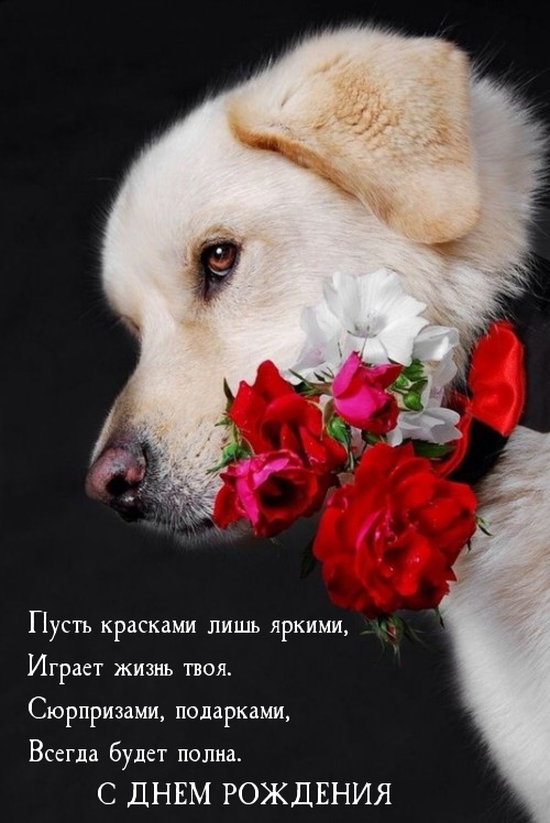 Пусть красками лишь яркими, играет жизнь твоя. С днем рождения