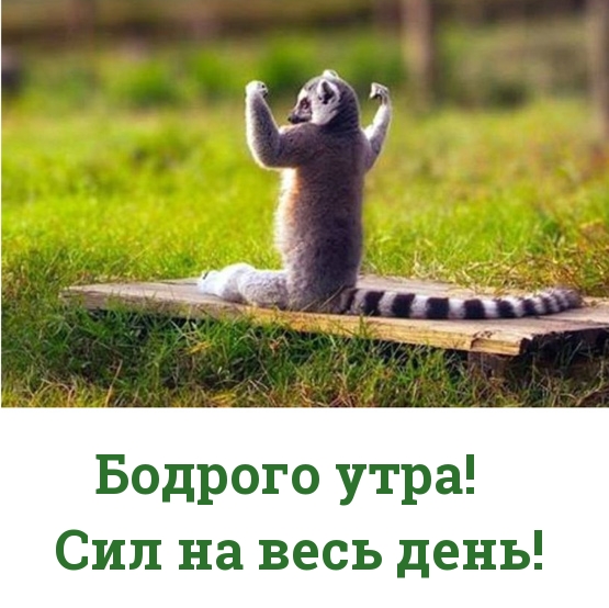 Бодрого утра! Сил на весь день!