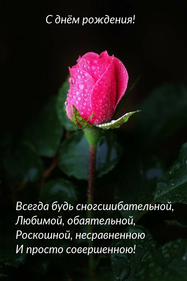 С днём рождения! Всегда будь сногсшибательной