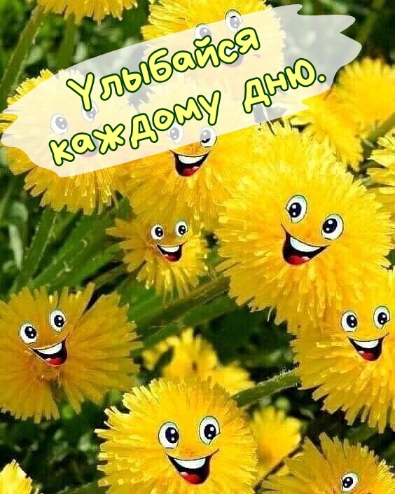 Улыбайся каждому дню.