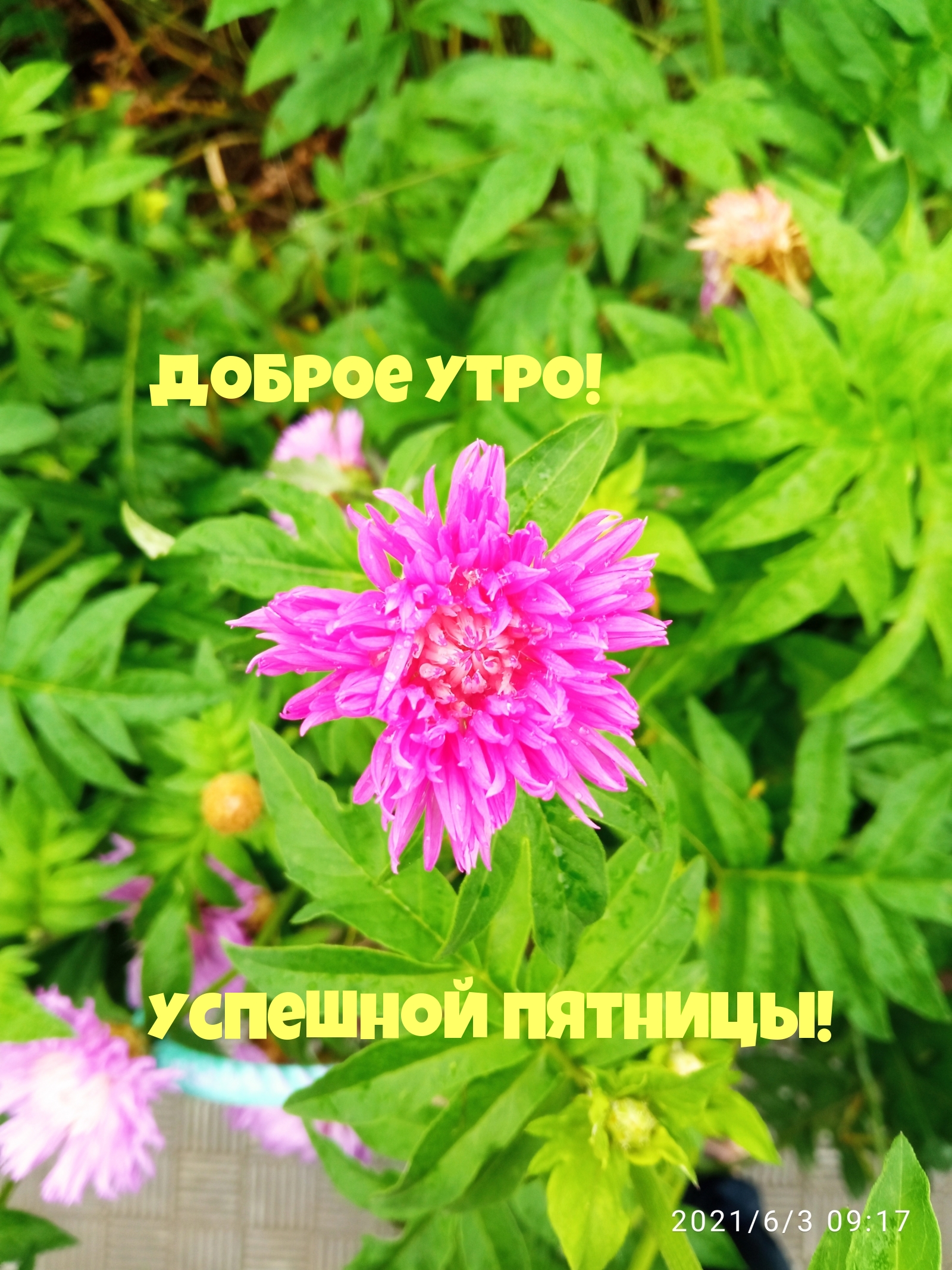 Доброе утро! Успешной пятницы!