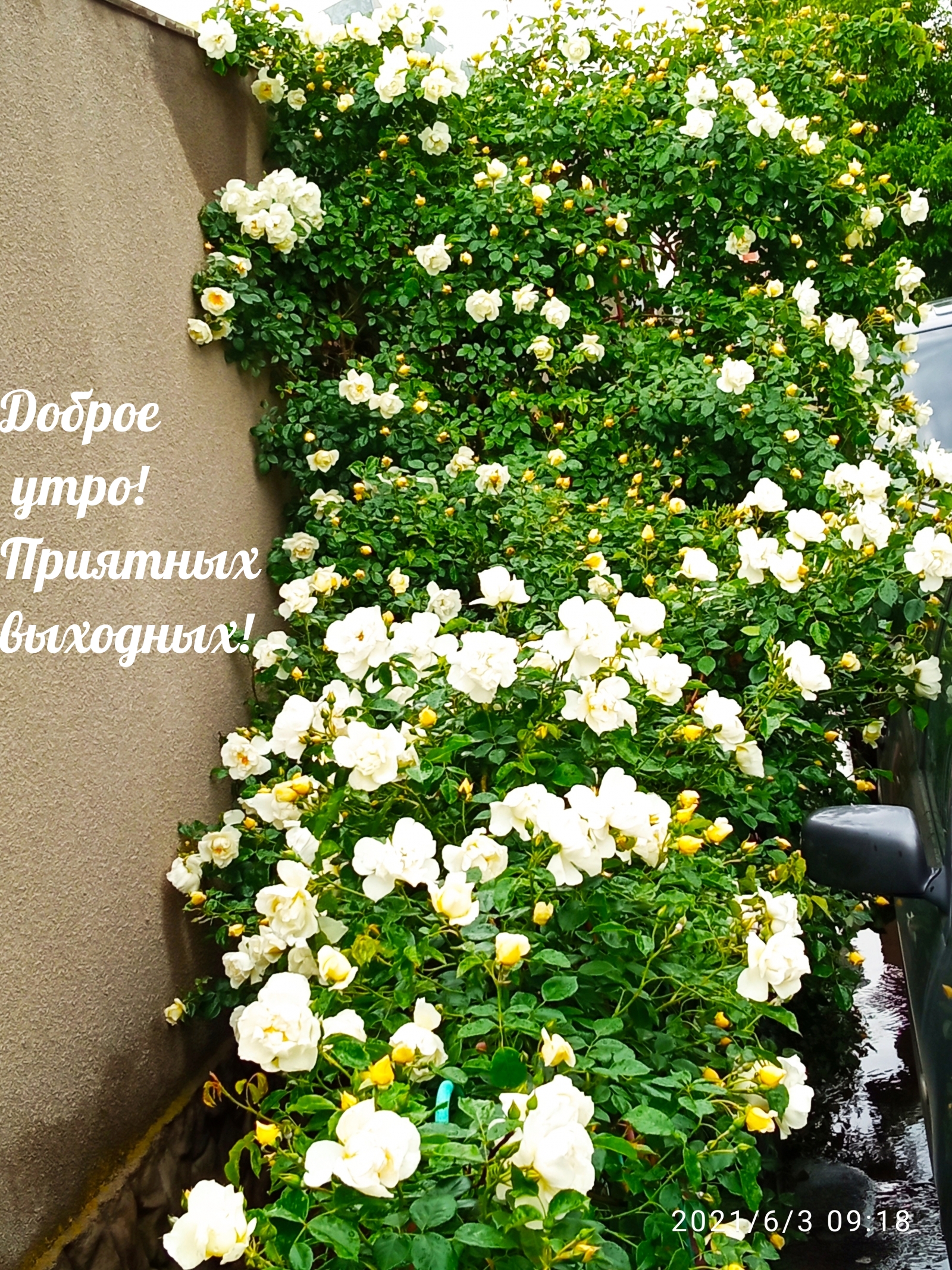 Доброе утро! Приятных выходных!