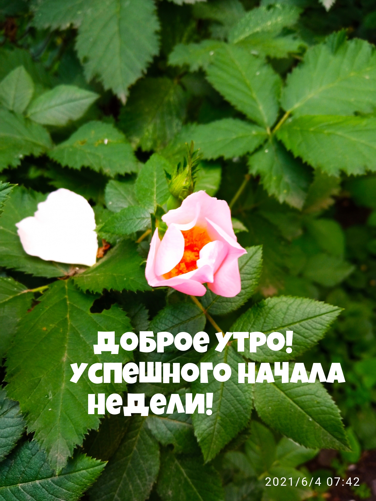 Доброе утро! Успешного Начала Недели!