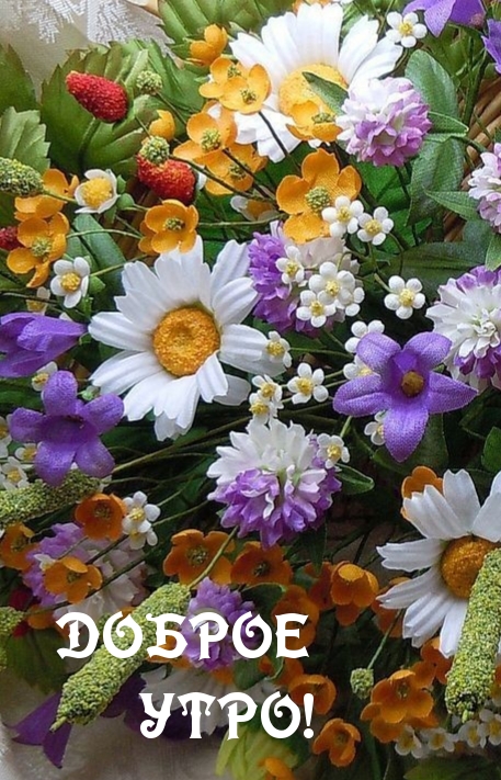 Доброе утро!