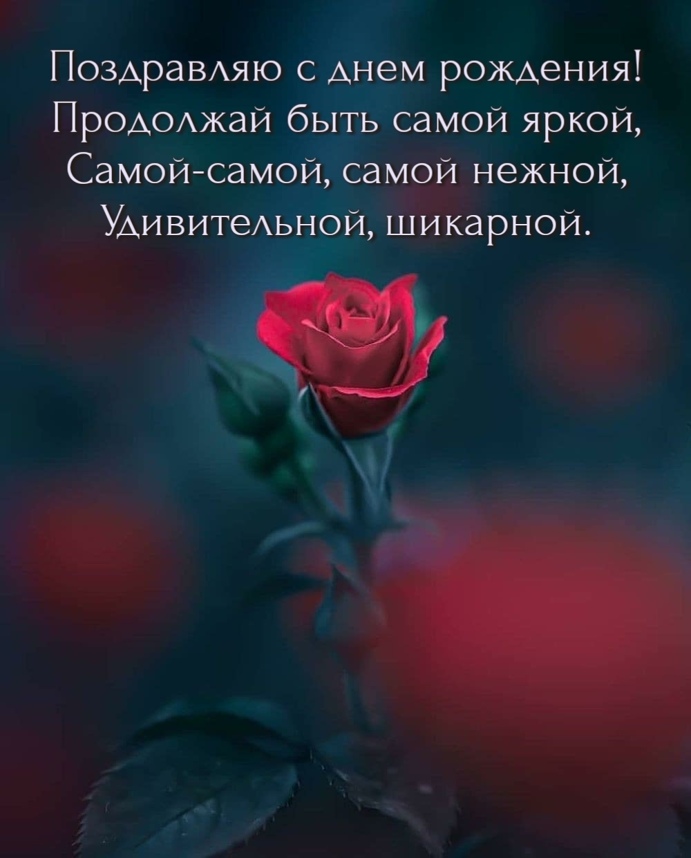 Шикарная роза на день рождения