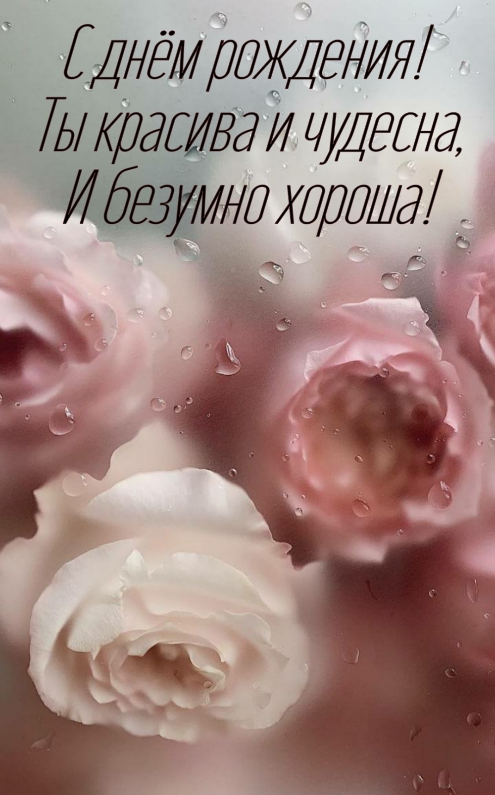 С днём рождения! Ты красива и чудесна, и безумно хороша!