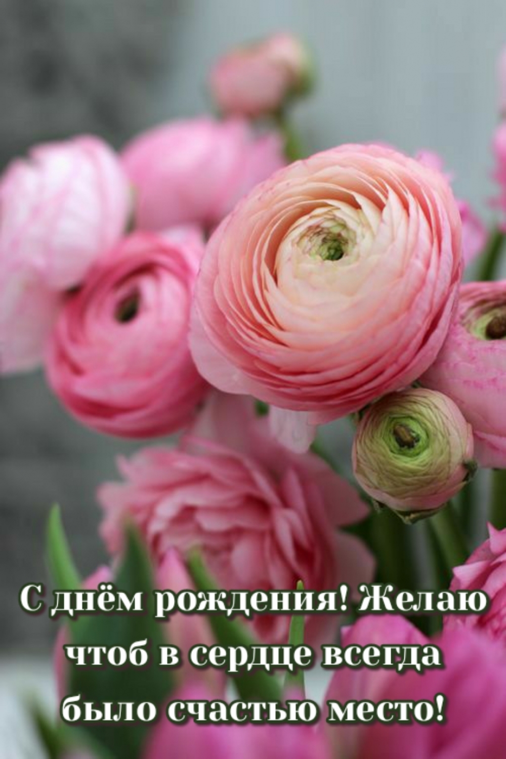 С днем рождения