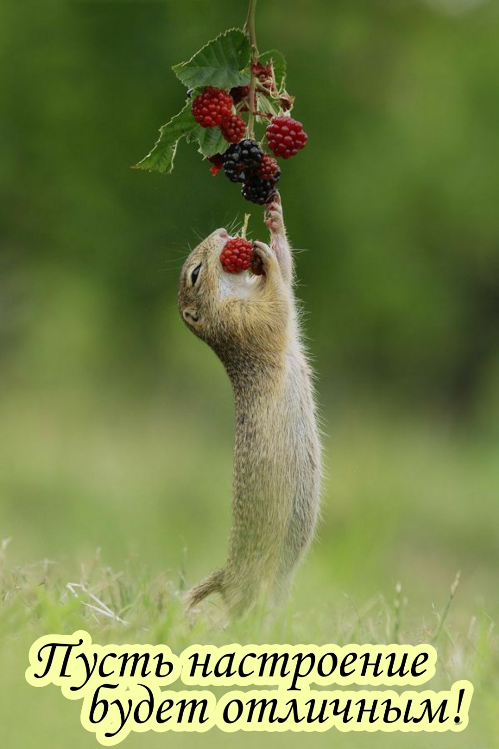 Пусть настроение будет отличным!