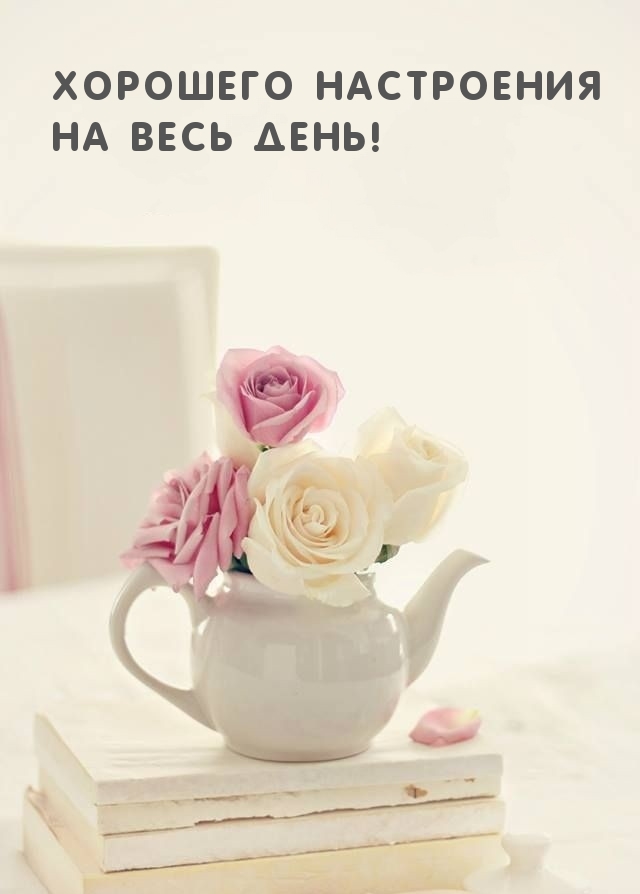 Хорошего настроения на весь день!