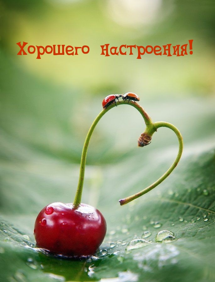 Хорошего настроения!