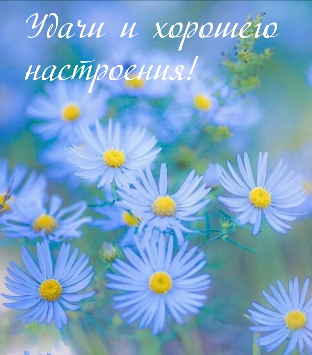Удачи и хорошего настроения!