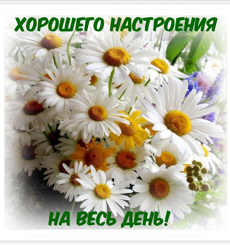 Хорошего настроения на весь день!