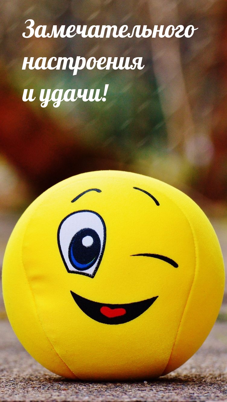 Замечательного настроения и удачи!