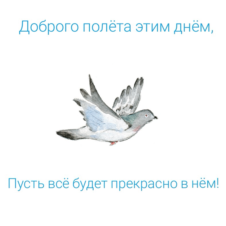 Доброго полёта этим днём