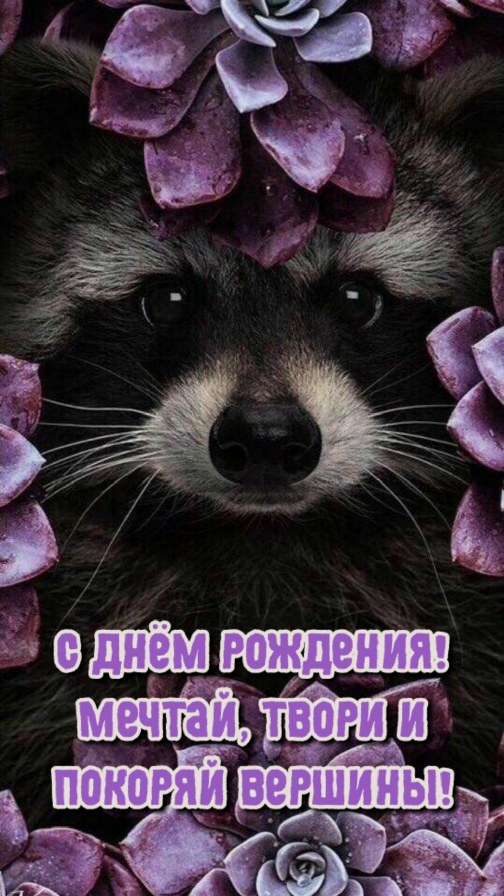 С днём рождения! Мечтай, твори и покоряй вершины!