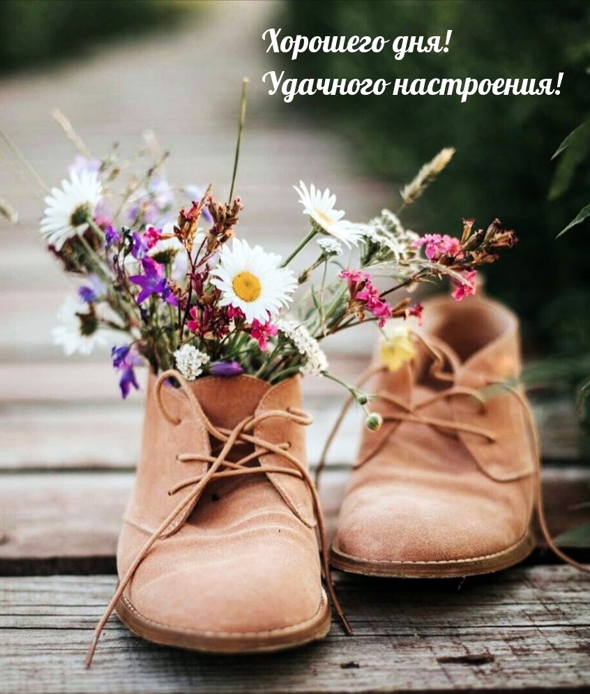 Хорошего дня! Удачного настроения!