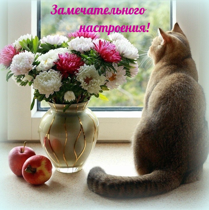 Замечательного настроения!