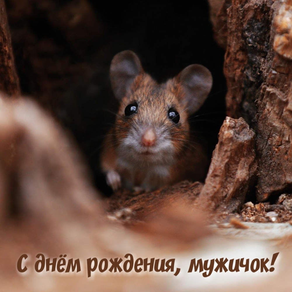 С днём рождения, мужичок!
