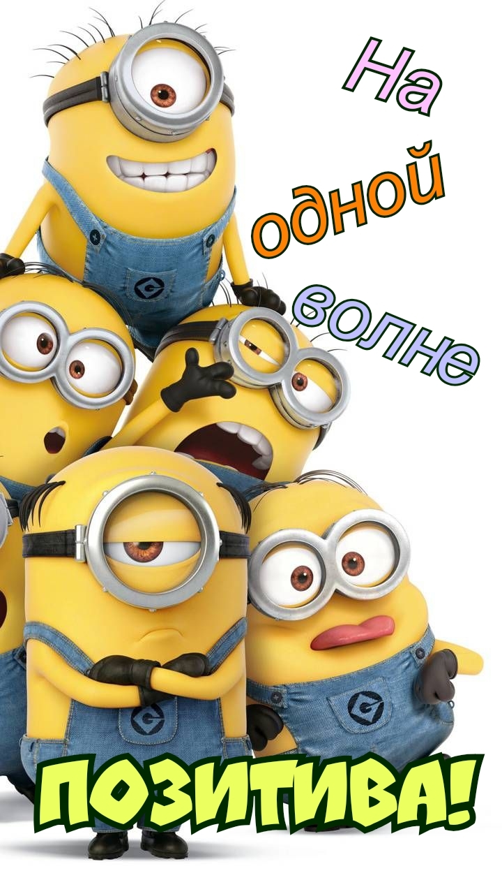 На одной волне позитива!