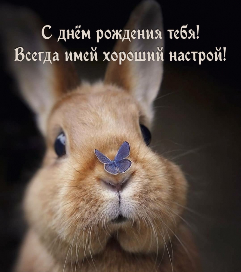 С днём рождения тебя! Всегда имей хороший настрой!