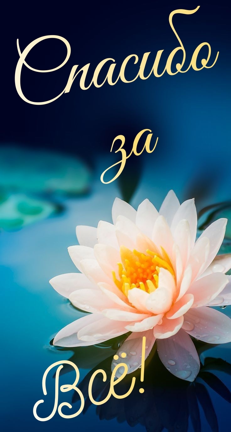 Спасибо за всё!