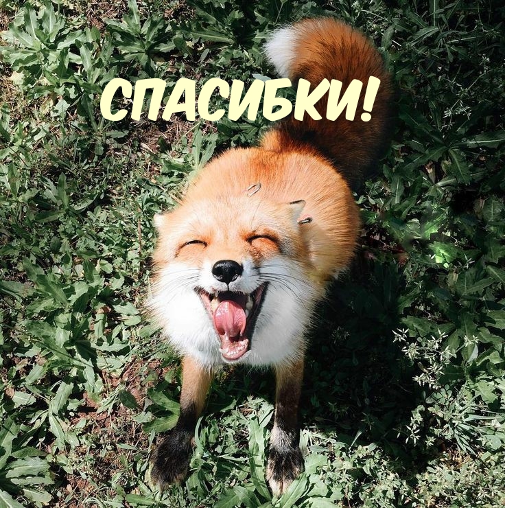 Спасибки!