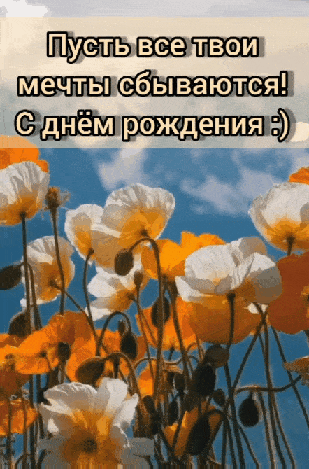 Пусть все твои мечты сбываются!