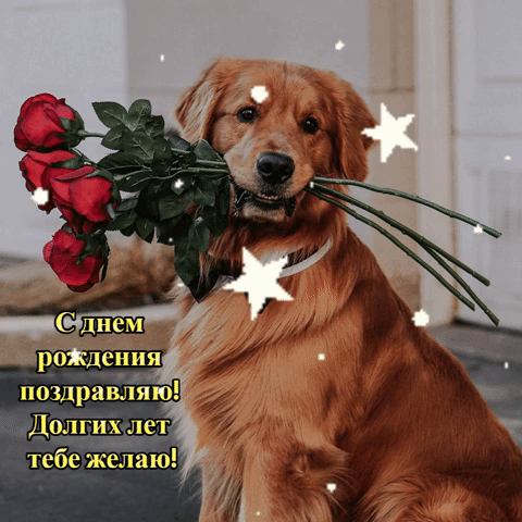 Долгих лет тебе желаю!