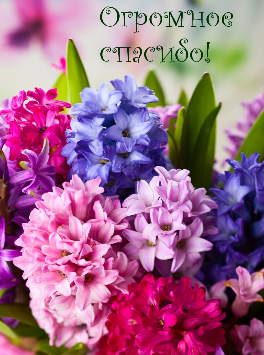 Огромное спасибо!