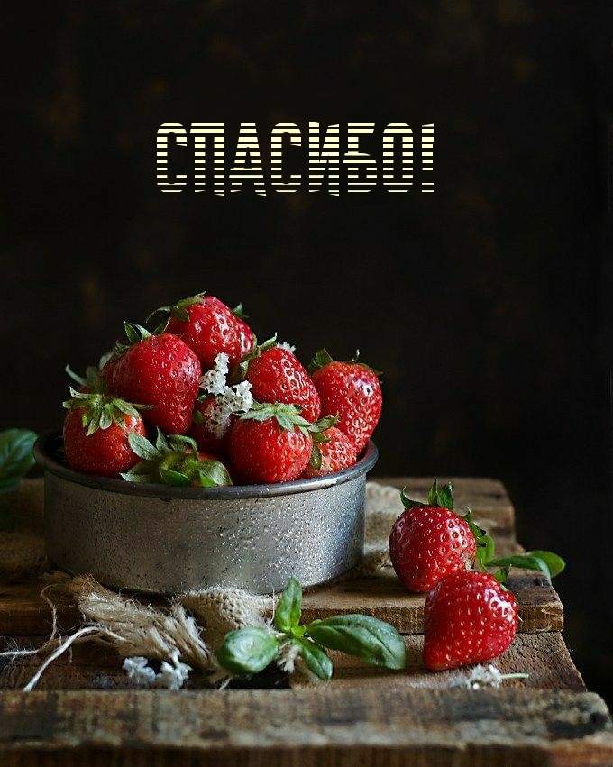 Спасибо!