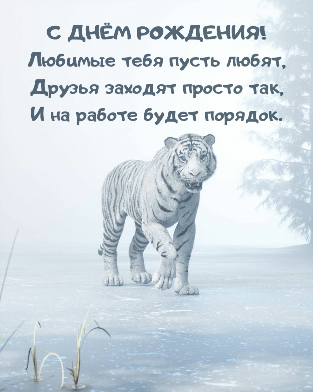 С днем рождения! Любимые пусть тебя любят