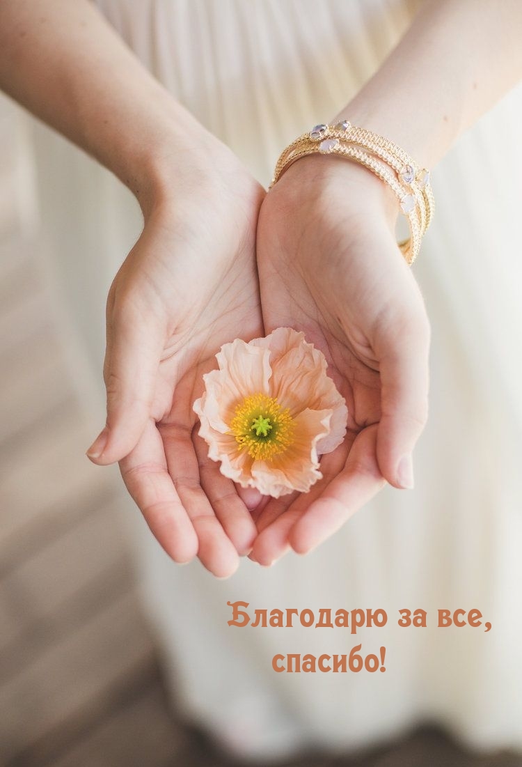 Благодарю за все, спасибо!