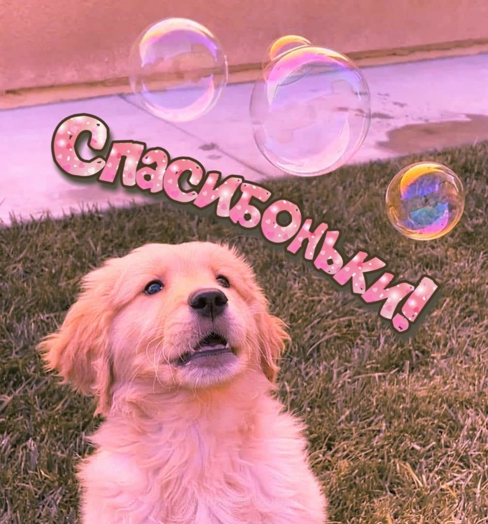 Спасибоньки!