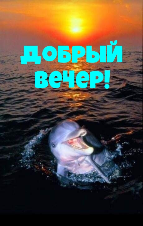 Добрый вечер!