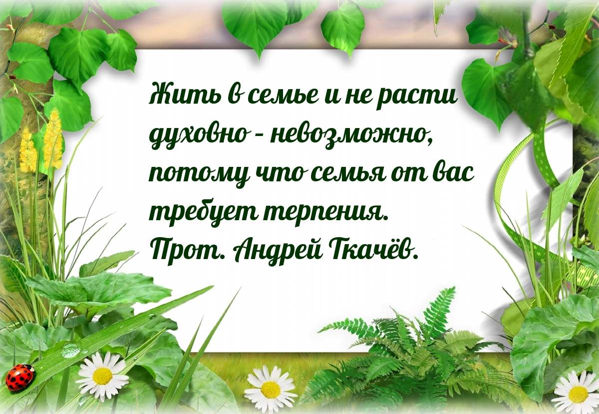 Жить в семье и не расти духовно – невозможно