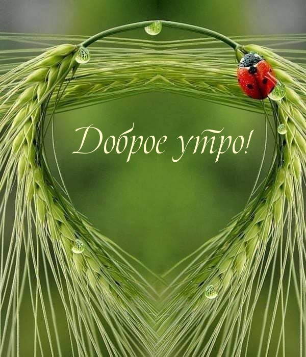 Доброе утро!