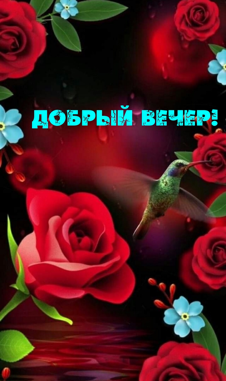 Добрый вечер!