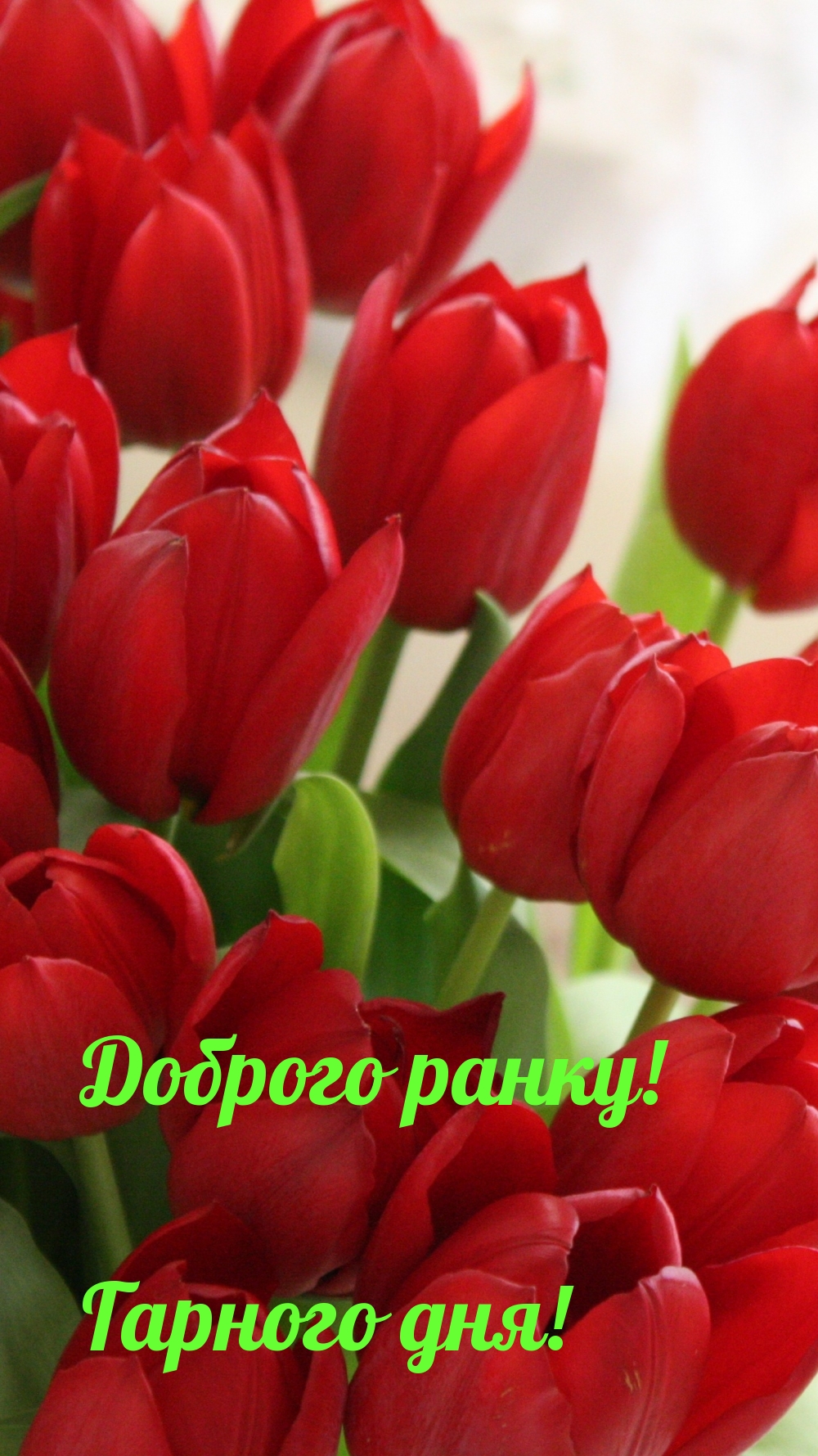 Доброго ранку! Гарного дня!