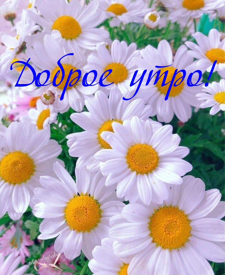 Доброе утро!